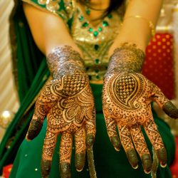 mehandi-250x250 mehandi-250x250